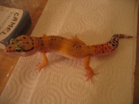img_0092.jpg