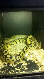 2011-01-03_14-41-21_781.jpg