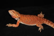 IMG_8838.JPG