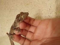 20201006_184639.jpg