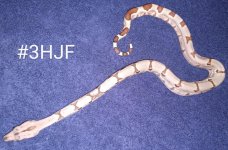 #3hjfd.jpg