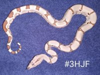 #3hjfc.jpg