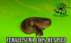 PicsArt_09-25-12.16.33.jpg