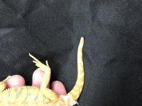 IMG_8273.jpg