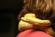 IMG_1984.jpg