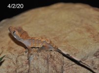 253BBDB5-702E-4CA4-8B36-88B57A196FEB.jpg