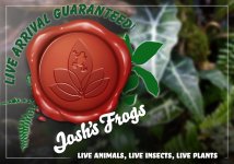 live arrival guaranteed plants amazon.jpg