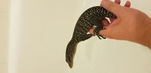 20201009_211829.jpg