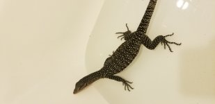 20201009_211729.jpg