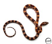 AbbottOkeeteeM1 (1 of 1).jpg