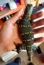 20201108_192701.jpg