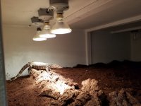20160926_215722.jpg