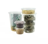 fat_tail_gecko_feeder_bundle_josh_s_frogs.jpg