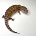 20BE5 (5).jpg