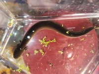 20201202_204407.jpg