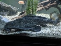 IMG_20200928_215712.jpg