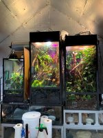 Enclosures.jpg