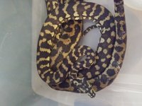 20201130_132102.jpg