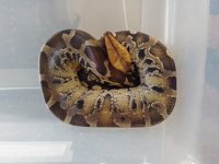 20201130_132024.jpg