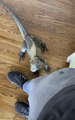 IMG_0309.jpg