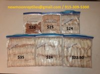 Mice with prices and contact.jpg