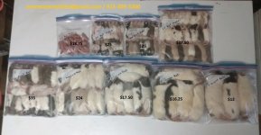 Rats with prices and contacts.jpg