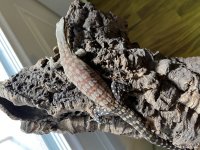 IMG_4946.jpg