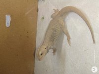 IMG_20201006_105556615.jpg