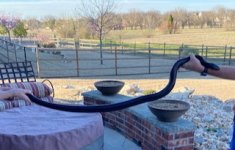IMG_2766.jpeg