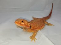 20210405_192606.jpg