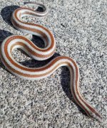 20201115_131652.jpg