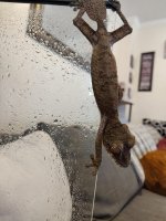 IMG_20201007_134248.jpg