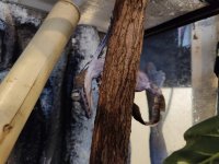IMG_20201007_134256.jpg