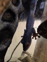 IMG_20201007_134340.jpg