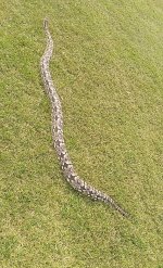 97C413F1-6E29-4D5B-B898-AD1FD3057E5A.jpg
