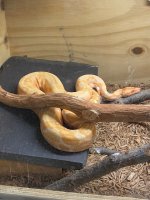 IMG_1711.jpg