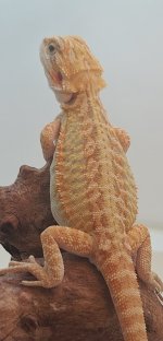 20200902_233713.jpg