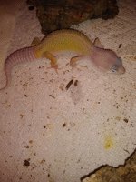 IMG_20200907_222824445.jpg