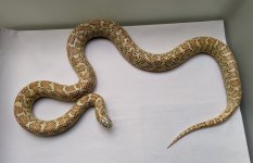 PXL_20201101_204746736.jpg