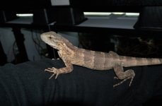 DSC_0567.jpg