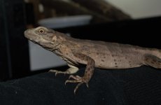 DSC_0578.jpg