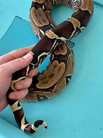 IMG_0358.jpg