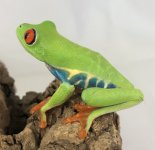 IMG_4762.jpg