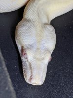 thumbnail_IMG_20200425_221516.jpg