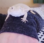 20201128_054502.jpg