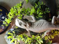 20201105_163755.jpg