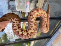 SI Ground Boa 1(2).jpg