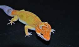 DSC_0493.jpg