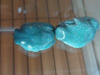 20210219_052307.jpg