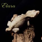 Elara.jpg